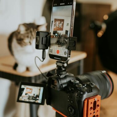 Camera and smartphone setup recording a cat in a creative photo studio.